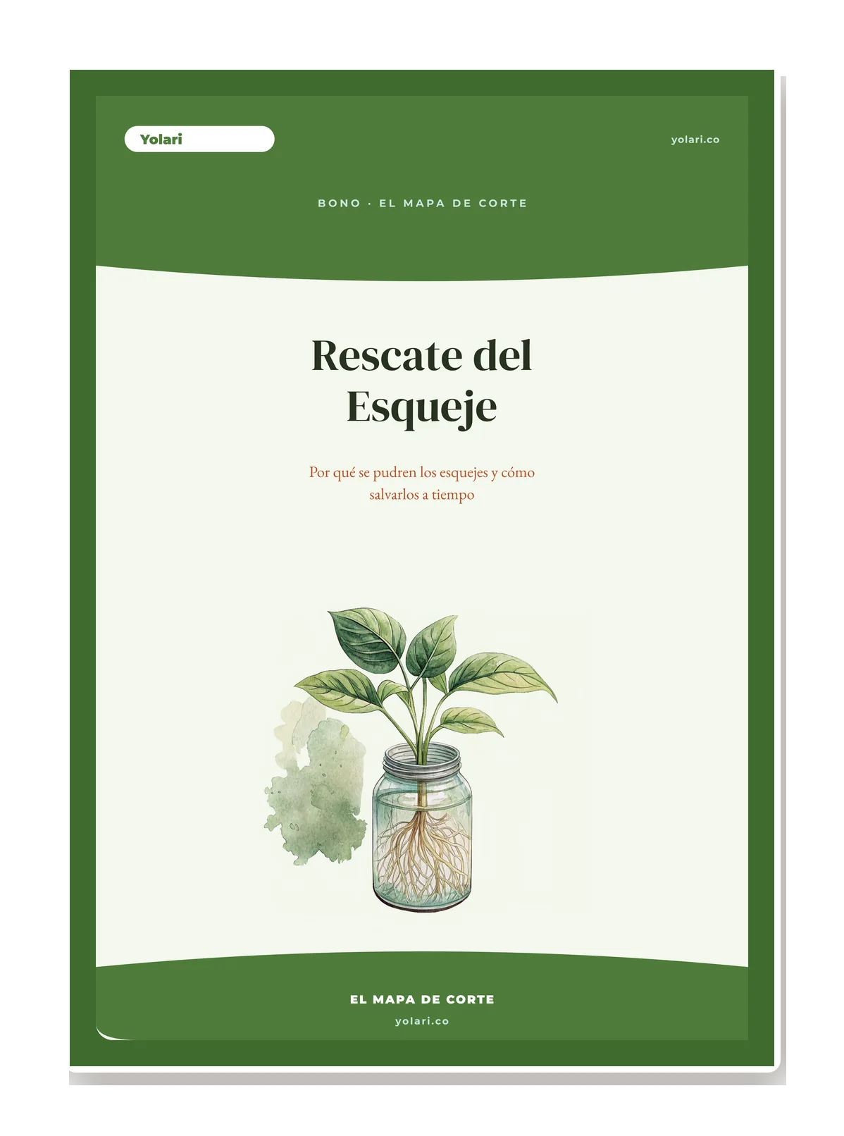 Portada del bono: guía de diagnóstico visual con señales verdes/rojas del esqueje.