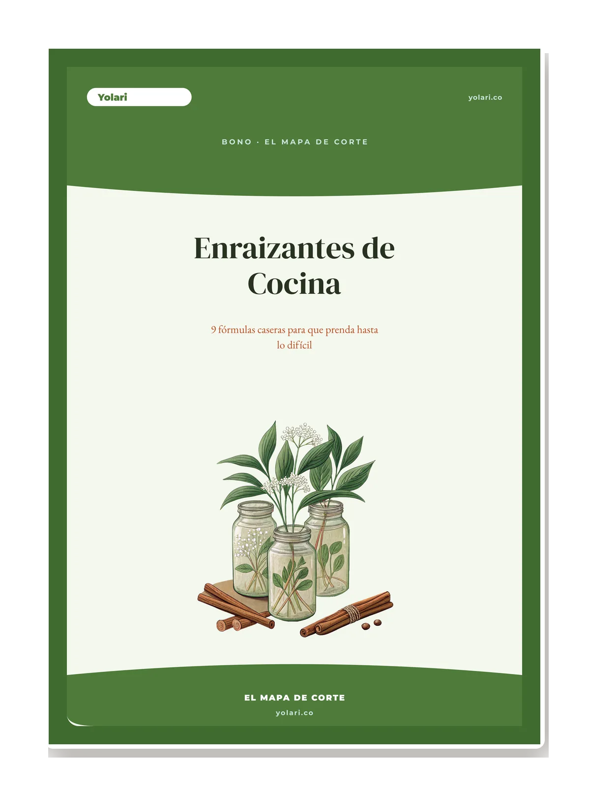 Portada del bono: 9 fichas de fórmulas caseras (canela, lentejas, aloe, sauce, miel...).