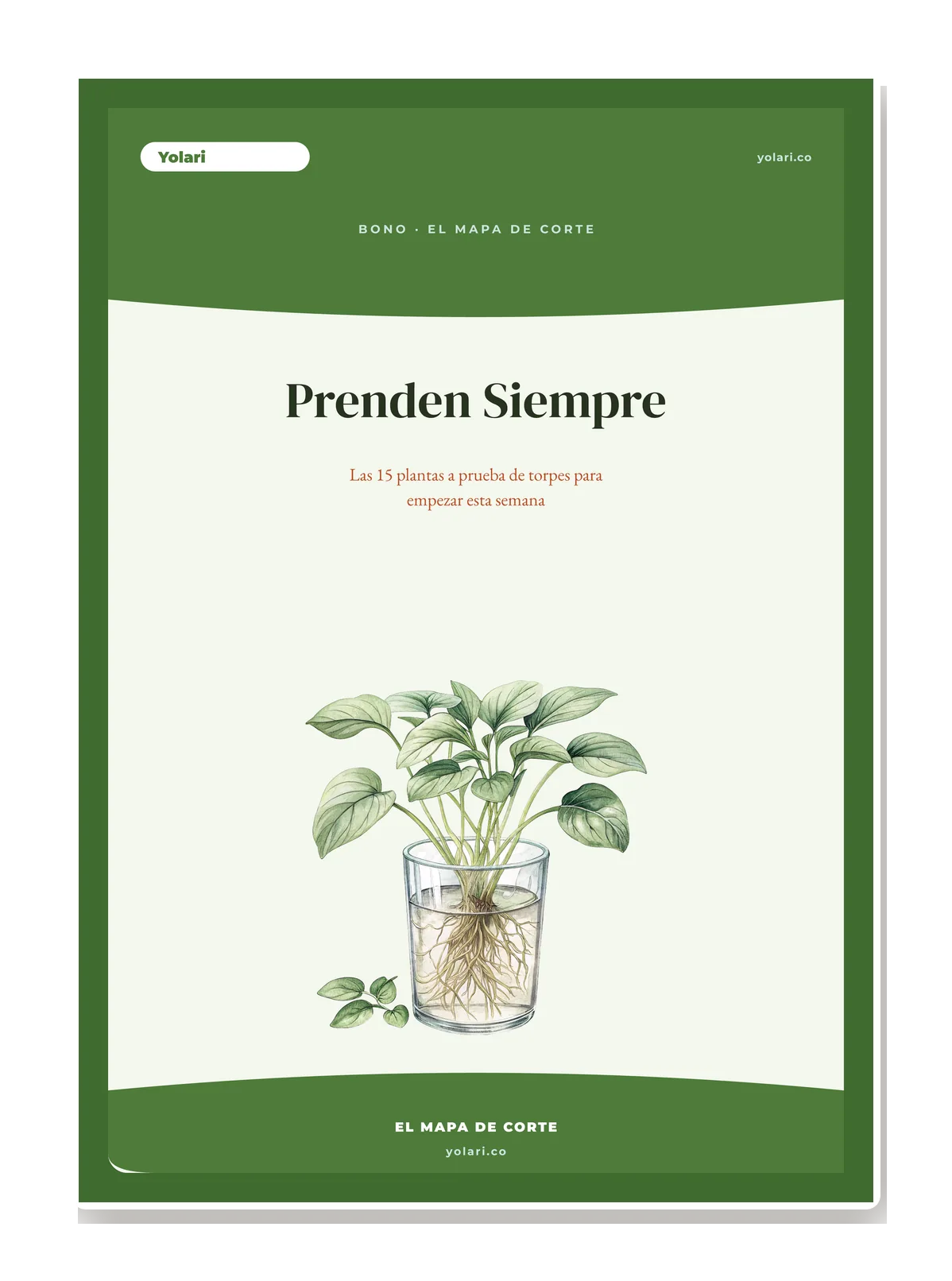 Portada del bono: lista visual de 15 plantas fáciles con ilustración.