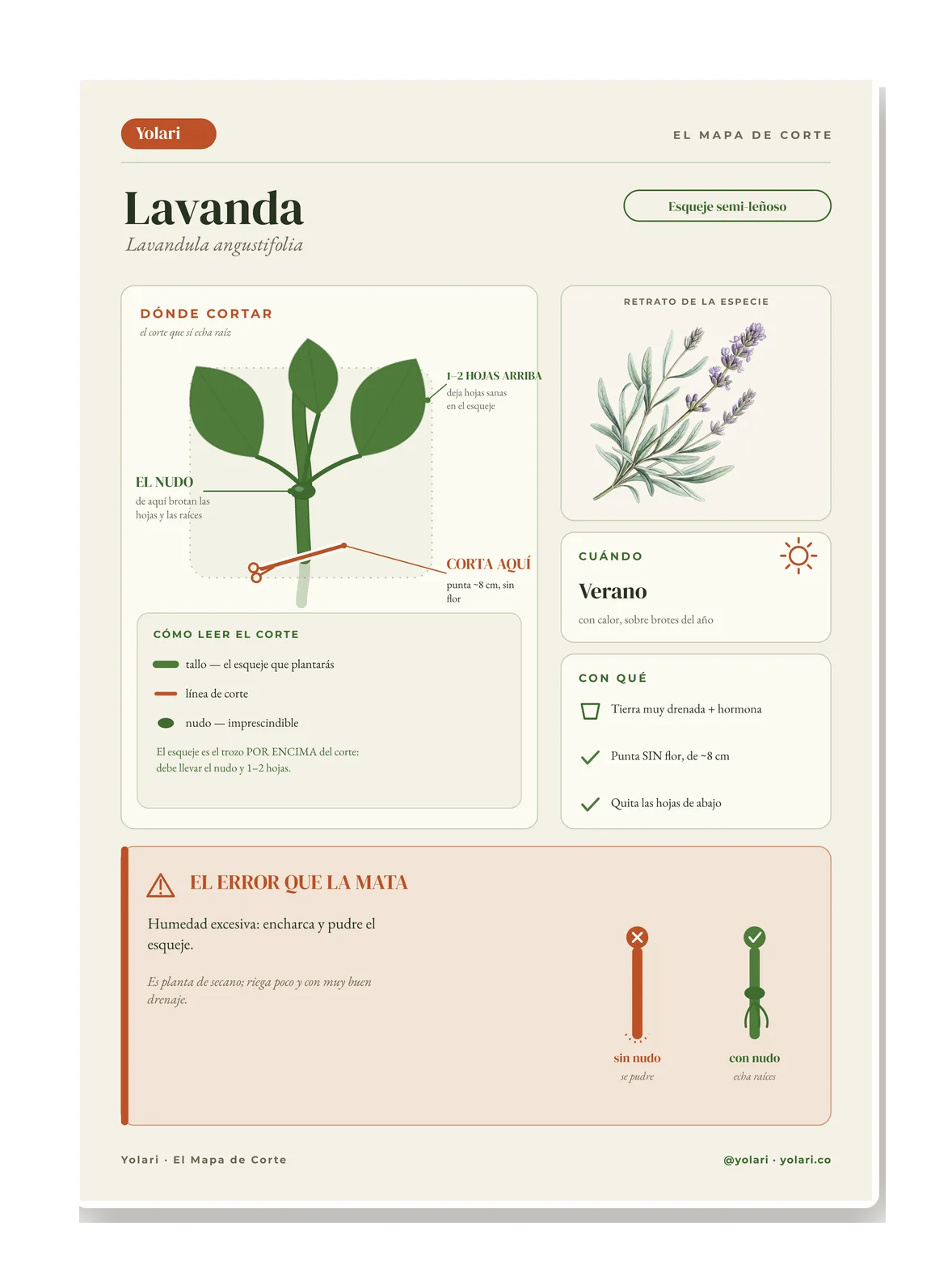 Ficha con el icono estacional resaltado (rueda de meses) para esa especie.