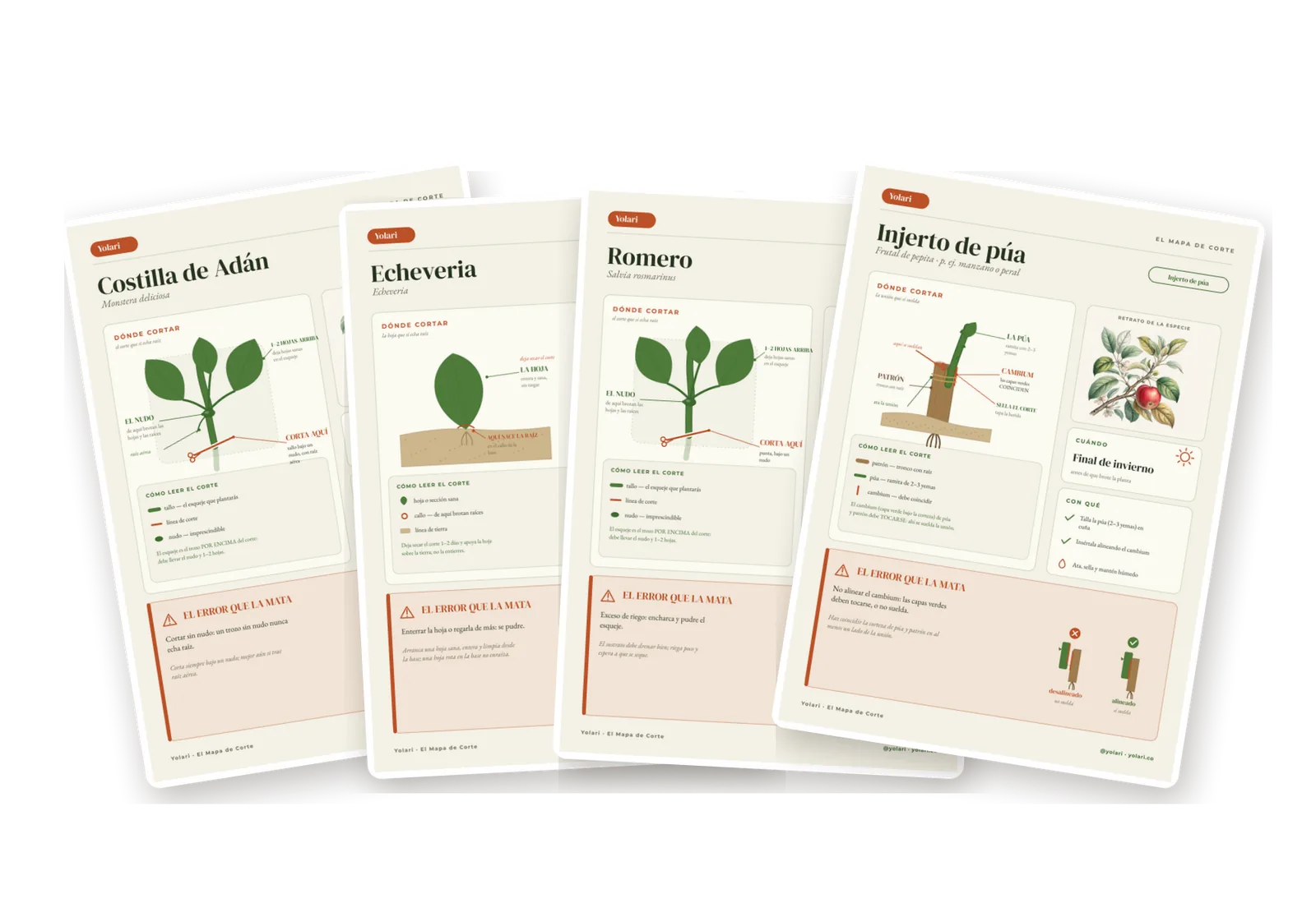 Cuatro fichas de tipos distintos (interior, suculenta, aromática, frutal).