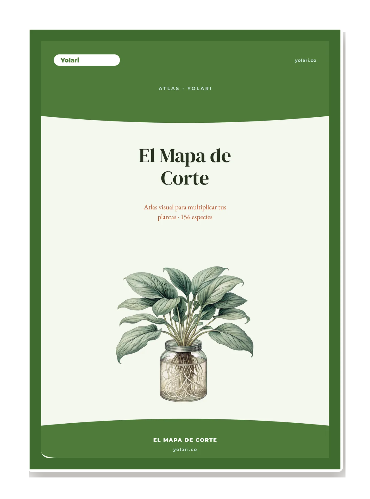 Mockup héroe: un atlas/fichero abierto en la ficha de una planta — diagrama del punto de corte marcado, icono del mes, icono del método y recuadro rojo 'el error que la mata'.